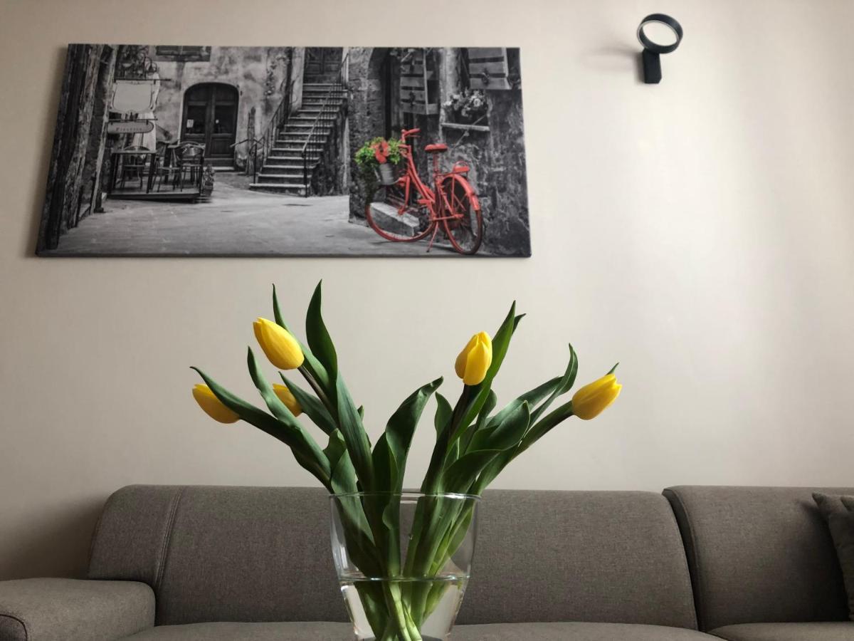 Zamkowy Apartment *